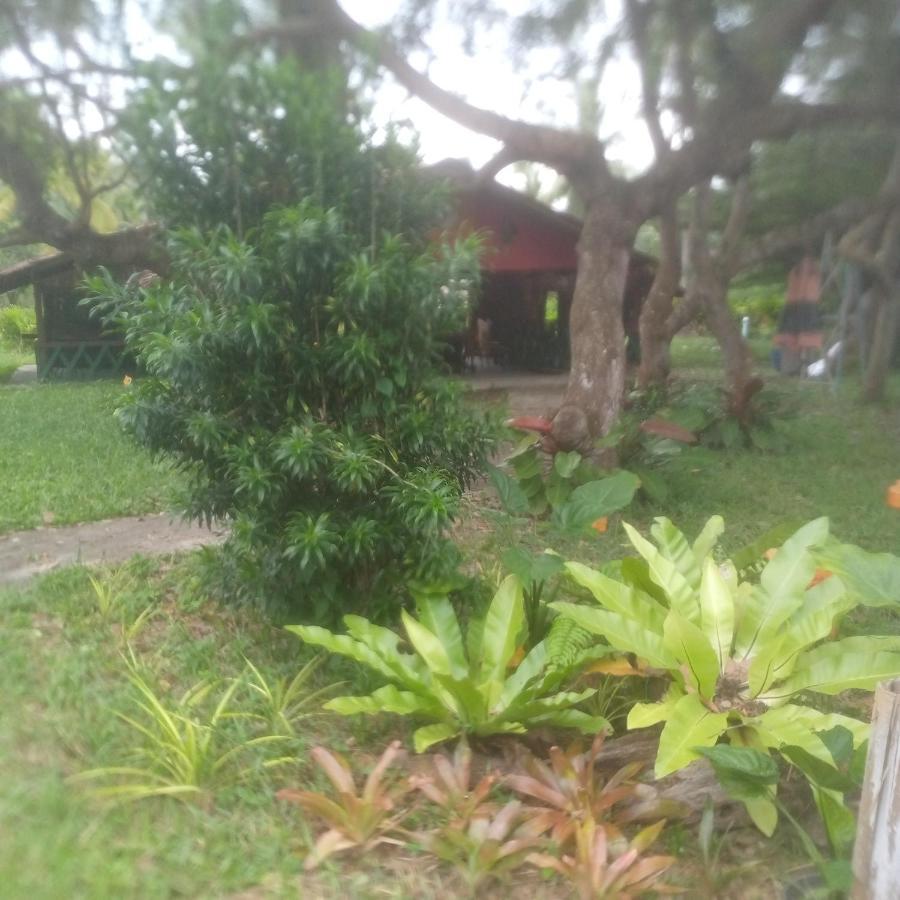 Koh Mook Oyoy Reggaebar Bungalow Ko Mook Exterior foto